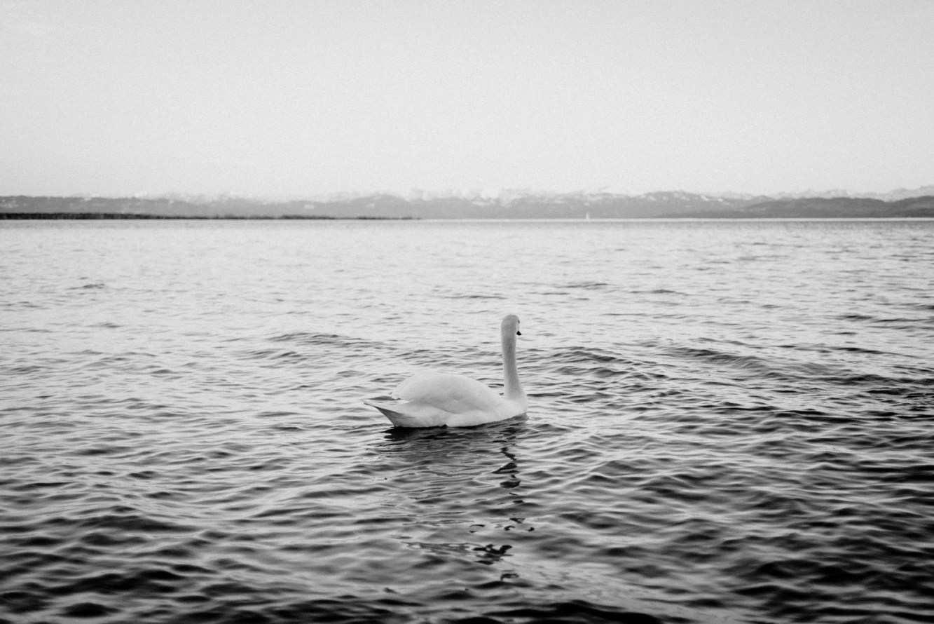 Bodensee12
