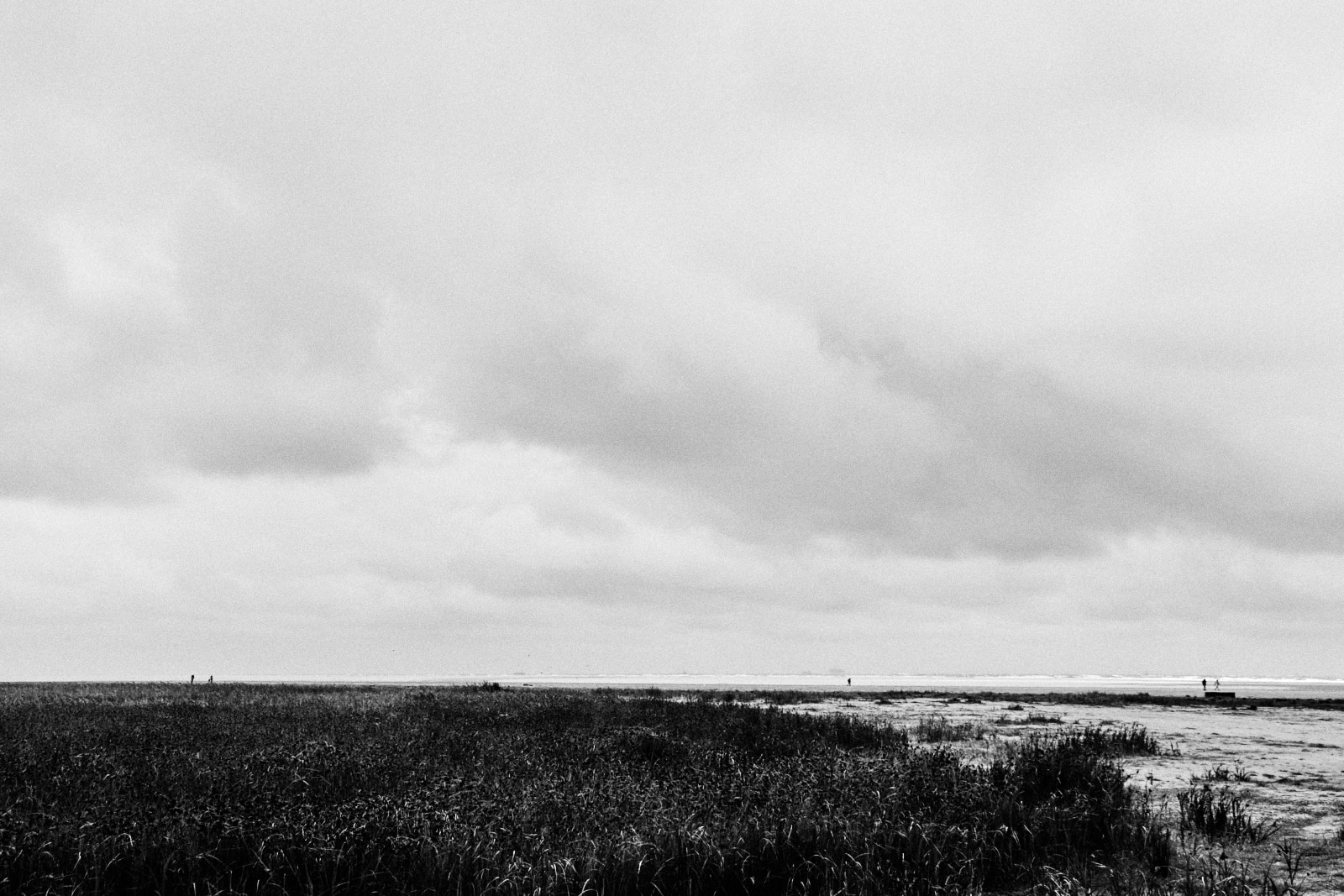 Schiermonnikoog