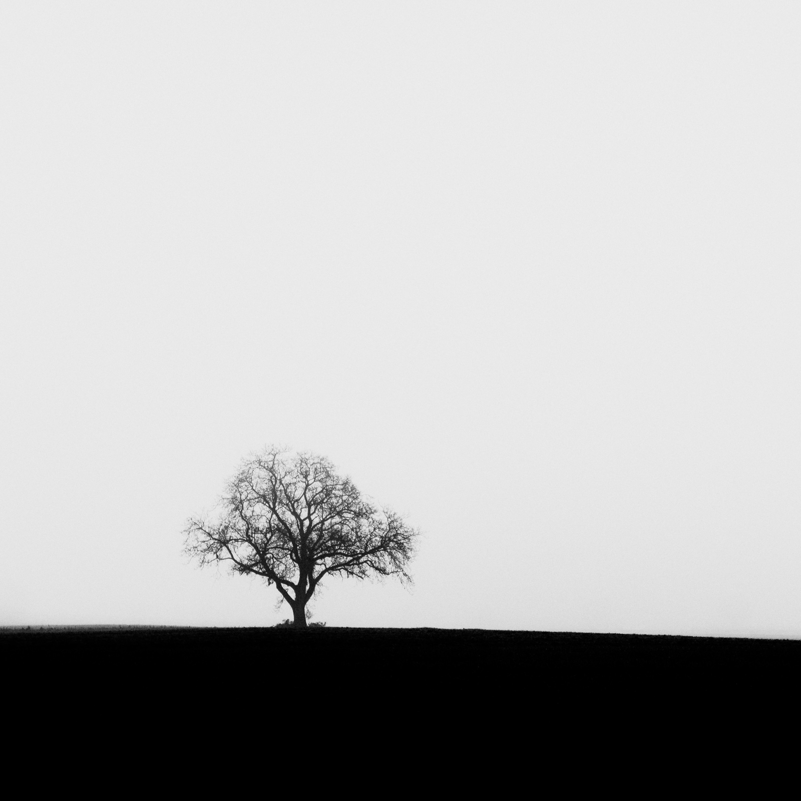 Stille